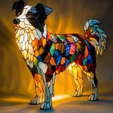 Border Collie de Cristal
